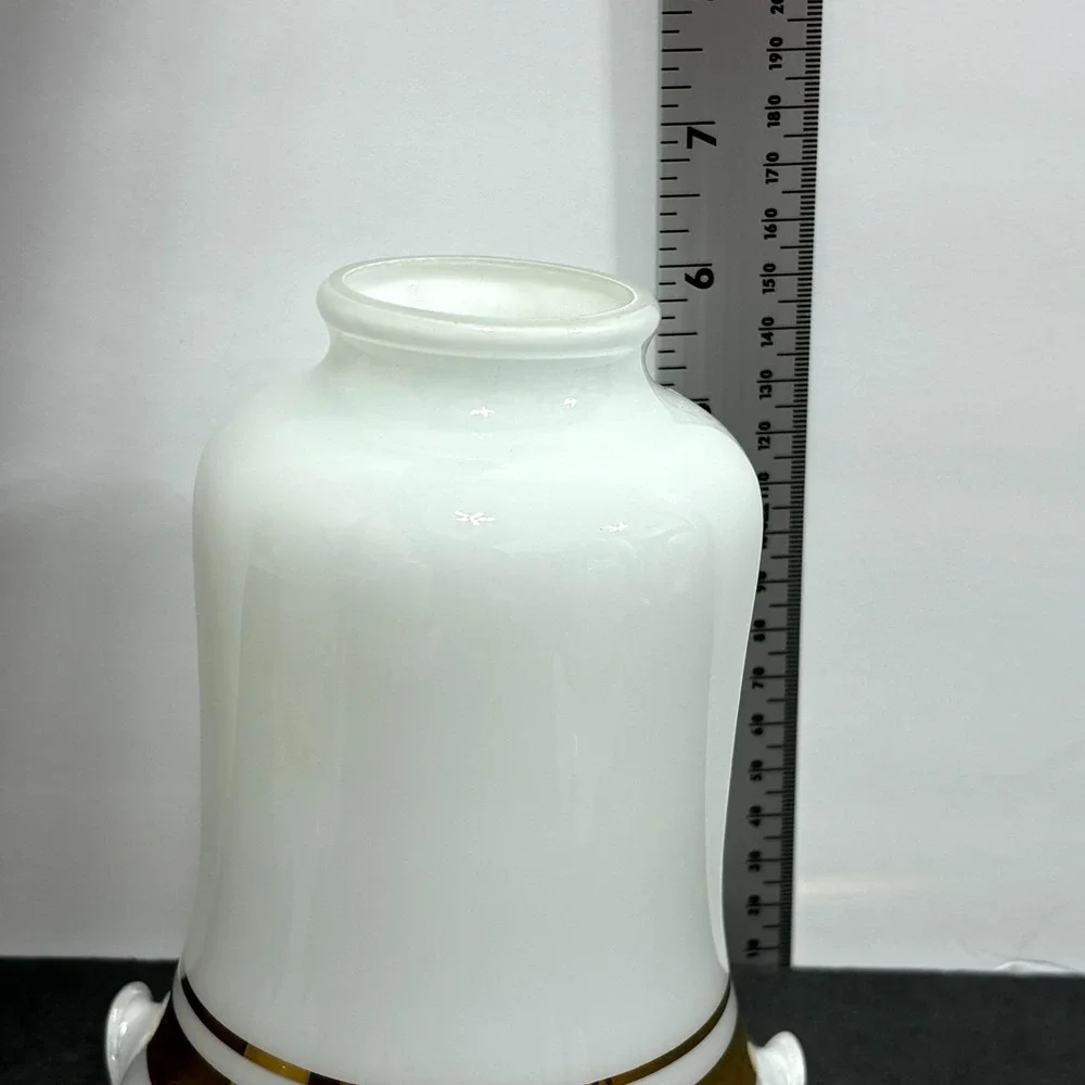 Vintage Shade Globe 6